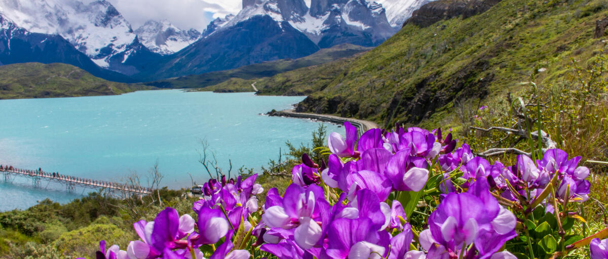 GLACIARES DE ARGENTINA y CHILE