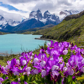 GLACIARES DE ARGENTINA y CHILE