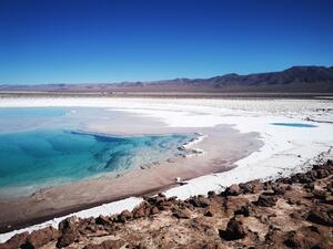 DÍA 7 – EXCURSION A LAGUNAS MISCANTI Y MIÑIQUES | SALAR DE ATACAMA – 20 DE NOVIEMBRE