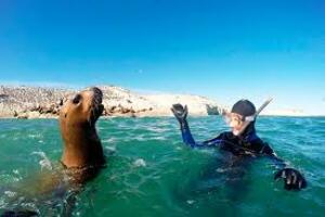 DÍA 3 – PUERTO MADRYN | EXCURSIÓN A PUNTA LOMA Y ECOCENTRO – 20 DE JULIO