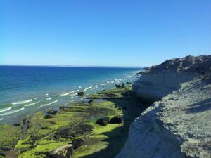 DÍA 4 – PUERTO MADRYN | EXCURSIÓN A PLAYA EL DORADILLO – 21 DE JULIO