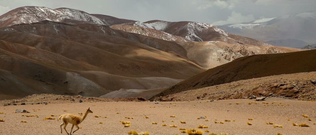 CATAMARCA y TERMAS DE RIO HONDO