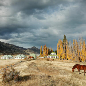 DÍA 3 – EL CALAFATE | EXPEDICIÓN AL GLACIAR UPSALA CON ESTANCIA CRISTINA – 25 DE ENERO
