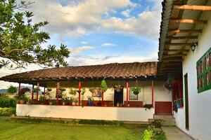 DÍA 5 – PEREIRA (PROCESO DEL CAFÉ EN “FINCA DEL CAFÉ”) – 23 DE JULIO
