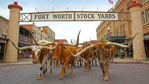 DÍA 5 – DALLAS| VISITA A FORT WORTH & STOCKYARDS – 25 DE JUNIO
