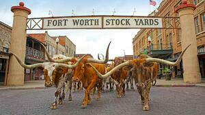 DÍA 6 – DALLAS| VISITA A FORT WORTH & STOCKYARDS – 25 DE JUNIO