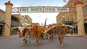 DÍA 13 – DALLAS| VISITA A FORT WORTH & STOCKYARDS – 25 DE JUNIO
