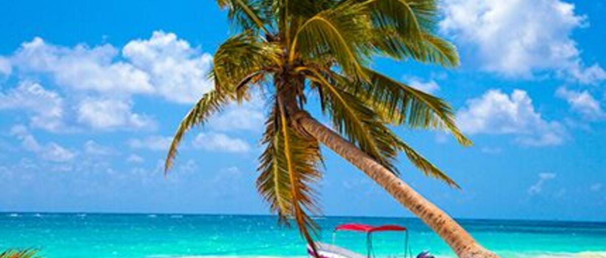 PLAYA DEL CARMEN 8 NOCHES 