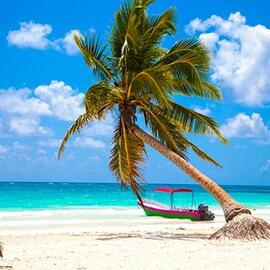 PLAYA DEL CARMEN 8 NOCHES 