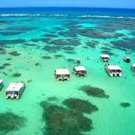 PORTO GALINHAS 8 NOCHES