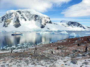 DÍA 5 – DESCUBRIMOS LA PENINSULA ANTARTICA y LAS ISLAS SHETLAND DEL SUR – 13 DE DICIEMBRE