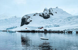 DÍA 8 – DESCUBRIMOS LA PENINSULA ANTARTICA y LAS ISLAS SHETLAND DEL SUR – 16 DE DICIEMBRE