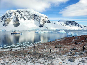 DÍA 5 – DESCUBRIMOS LA PENINSULA ANTARTICA y LAS ISLAS SHETLAND DEL SUR – 21 DE MARZO