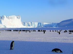 DÍA 7 – DESCUBRIMOS LA PENINSULA ANTARTICA y LAS ISLAS SHETLAND DEL SUR – 23 DE MARZO