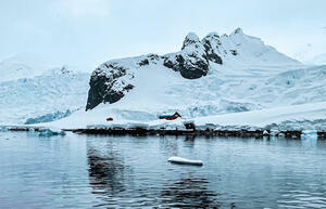 DÍA 8 – DESCUBRIMOS LA PENINSULA ANTARTICA y LAS ISLAS SHETLAND DEL SUR – 24 DE MARZO