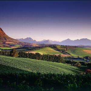 DÍA 25 – CAPETOWN| RUTA DEL VINO – 08 DE OCTUBRE