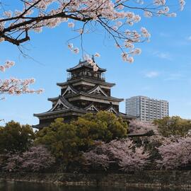JAPON “CEREZOS EN FLOR” y HONG KONG