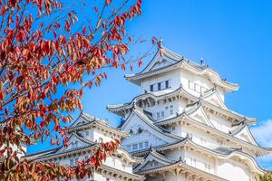 DÍA 11 – KURASHIKI | CASTILLO DE HIMEJI | KOBE – 03 DE ABRIL