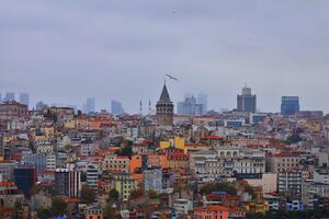 DÍA 2 – LLEGADA A ESTAMBUL – 25 DE MARZO