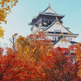 JAPON COLORES DEL MOMIJI con HONG KONG