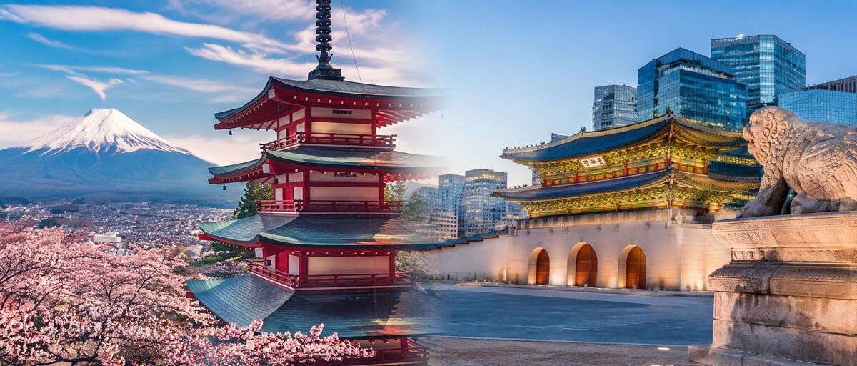 JAPON SAKURA y COREA DEL SUR