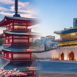 JAPON SAKURA y COREA DEL SUR