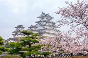 DÍA 12 – KYOTO| HIMEJI Y KURASHIKI – 10 DE ABRIL