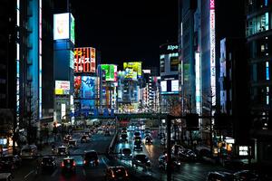 DÍA 38 – TOKIO – 11 DE NOVIEMBRE