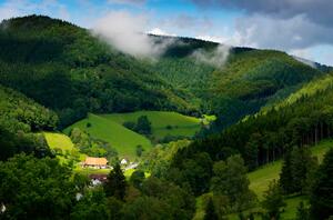 DÍA 17 – FRIBURGO | TRIBERG | GEGENBACH | ESTRASBURGO – 6 DE JUNIO