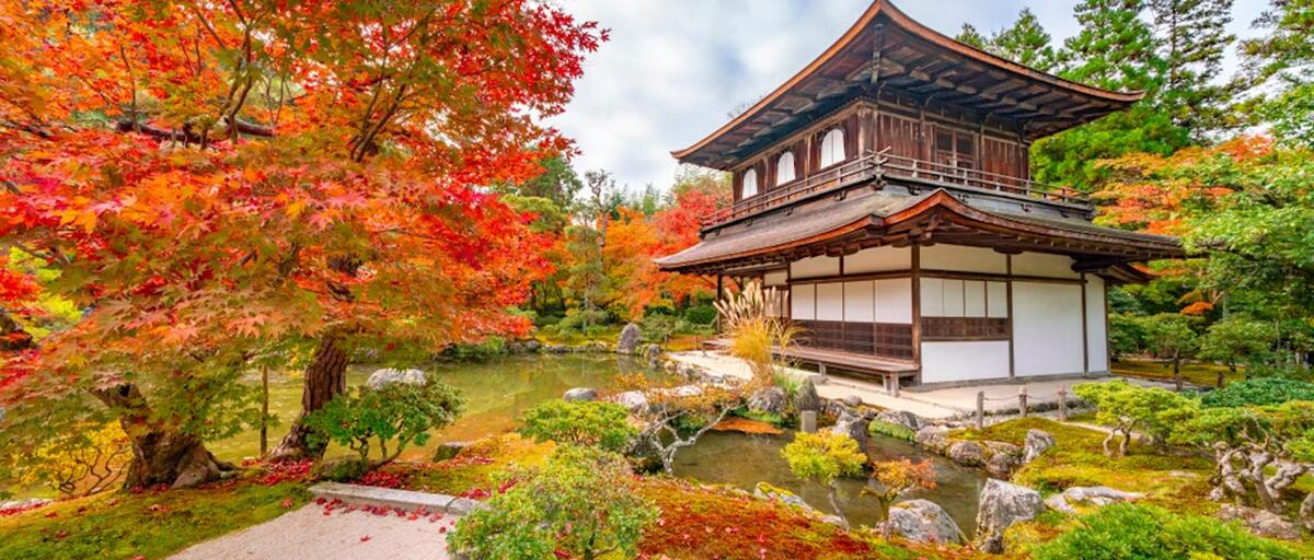 JAPON COLORES DEL MOMIJI y DUBAI – 23 DIAS