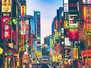 DÍA 19– TOKIO|TOUR DE MEDIO DÍA A AKIHABARA y TEMPLO ASAKUSA KANNON – 06 DE NOVIEMBRE