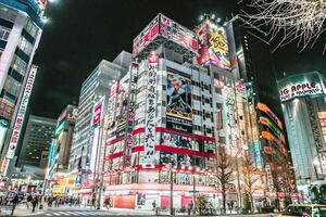 DÍA 16 – TOKIO | AKIHABARA y ASAKUSA|CENA DE DESPEDIDA – 6 DE NOVIEMBRE
