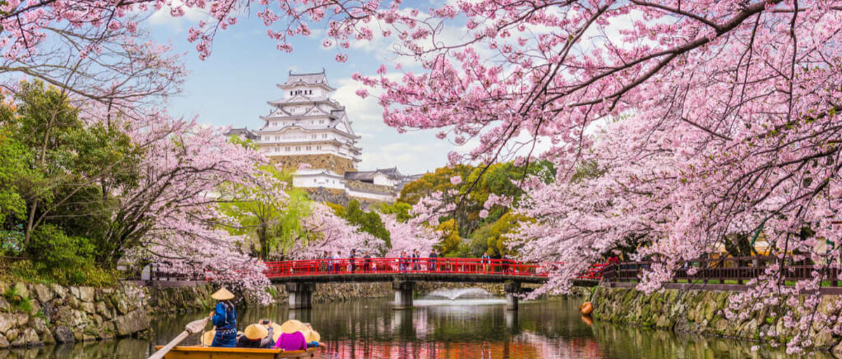 JAPON “ENCANTOS DEL SAKURA” JAPON “ENCANTOS DEL SAKURA”