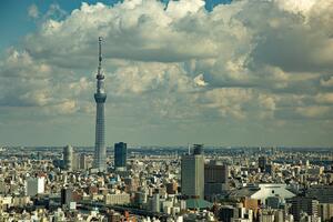 DÍA 18 – TOKIO| TOUR DE LA CIUDAD – 14 DE ABRIL DÍA 18 – TOKIO| TOUR DE LA CIUDAD – 14 DE ABRIL