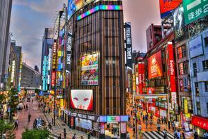 DIA 16 - TOKIO| TOUR PANORAMICO – PARQUE IMPERIAL y VISITA DEL SKYTREE DE TOKIO – 05 DE NOVIEMBRE DIA 16 - TOKIO| TOUR PANORAMICO – PARQUE IMPERIAL y VISITA DEL SKYTREE DE TOKIO – 05 DE NOVIEMBRE