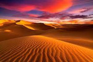 DIA 16 – FEZ|MIDELT|ERFOUD|DUNAS DE MERZOUGA – 29 DE NOVIEMBRE DIA 16 – FEZ|MIDELT|ERFOUD|DUNAS DE MERZOUGA – 29 DE NOVIEMBRE