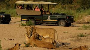 DIA 3 – KRUGER NATIONAL PARK – 04 DE FEBRERO