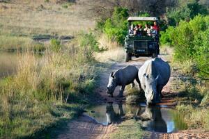 DIA 4 – KRUGER NATIONAL PARK – 05 DE FEBRERO