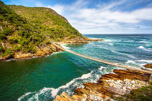DIA 7 – KNYSNA| EXCURSION AL PARQUE NACIONAL TSITSIKAMMA – 08 DE FEBRERO