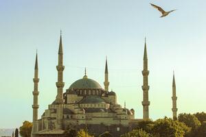 DIA 11 – ESTAMBUL – 28 DE SEPTIEMBRE  