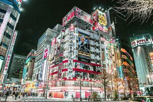 DÍA 20 – TOKIO | TOUR DE LA CIUDAD AKIHABARA y ASAKUSA – 12 DE ABRIL