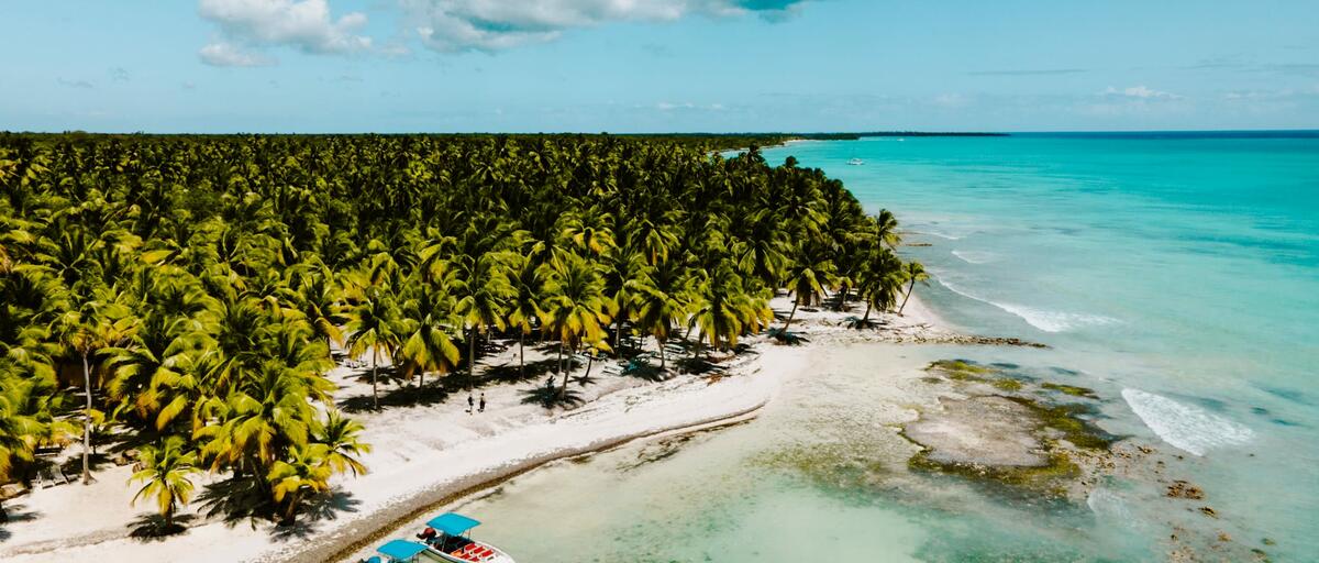 REP DOMINICANA Verano 2026! 