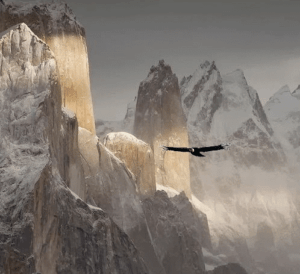 DIA 9 - EL CALAFATE|EL CHALTEN – 11 DE FEBRERO DIA 9 - EL CALAFATE|EL CHALTEN – 11 DE FEBRERO