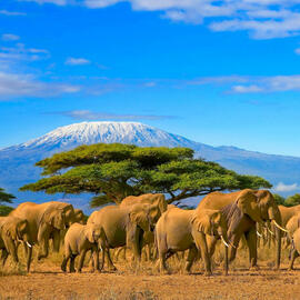 KENIA Y TANZANIA COLORES con ZANZÍBAR